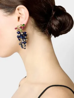 Roger Vivier Earrings Best