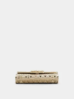 Roger Vivier Jewel Efflorescence Mini Bag in metal Fashion