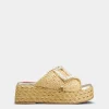 Roger Vivier Wedge Mules in raffia Fashion